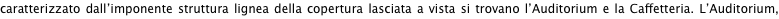 shapeimage_5_link_10