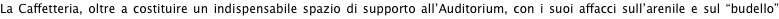 shapeimage_5_link_13