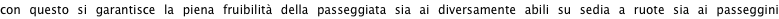 shapeimage_7_link_35