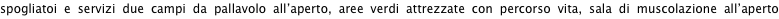 shapeimage_7_link_1