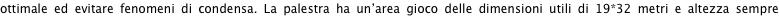 shapeimage_7_link_14