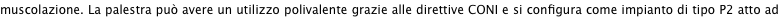 shapeimage_7_link_18