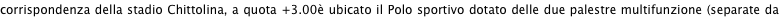 shapeimage_1_link_37