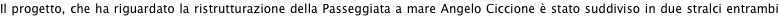 shapeimage_7_link_0