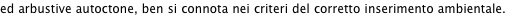 shapeimage_4_link_8